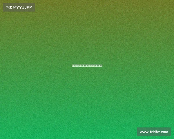 曼联球迷激情四溢回顾球队辉煌历程与未来展望